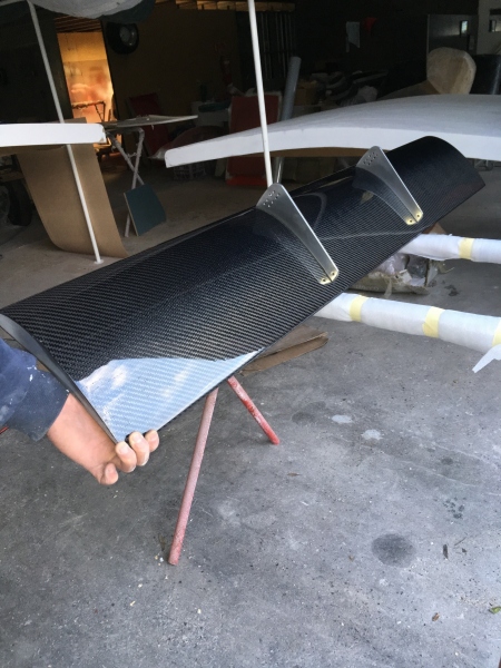 Carbon_Fibre_Wing